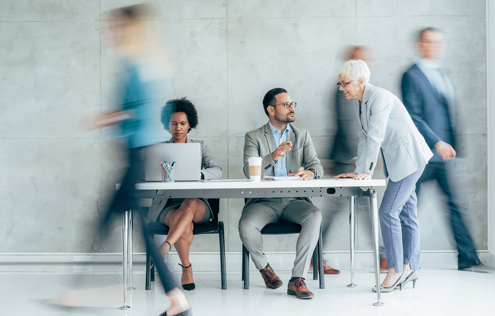 Meta Diverse: Building Bridges for Global Success 